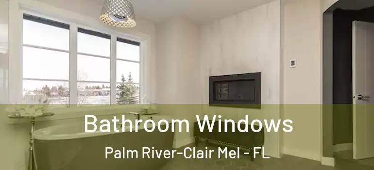 Bathroom Windows Palm River-Clair Mel - FL