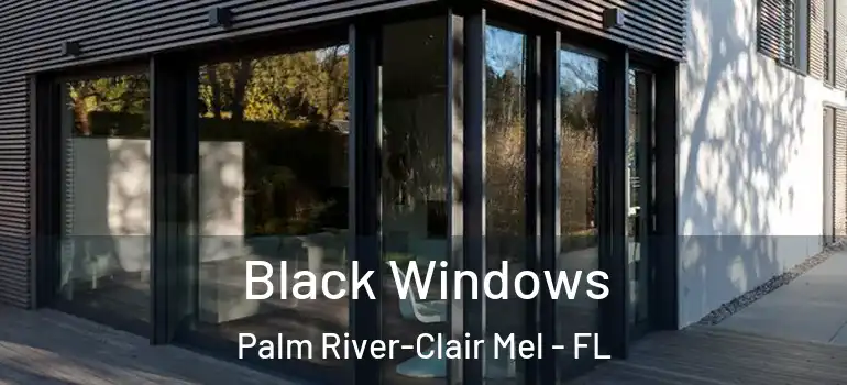  Black Windows Palm River-Clair Mel - FL