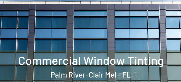 Commercial Window Tinting Palm River-Clair Mel - FL