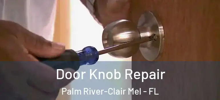 Door Knob Repair Palm River-Clair Mel - FL