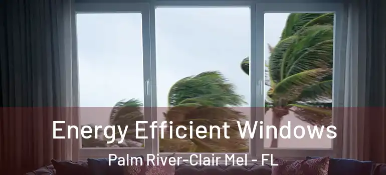 Energy Efficient Windows Palm River-Clair Mel - FL