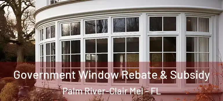  Government Window Rebate & Subsidy Palm River-Clair Mel - FL