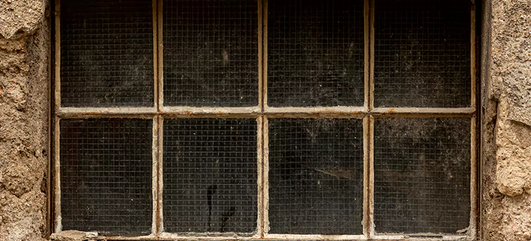 Traditional Double Front Doors in Palm River-Clair Mel, FL