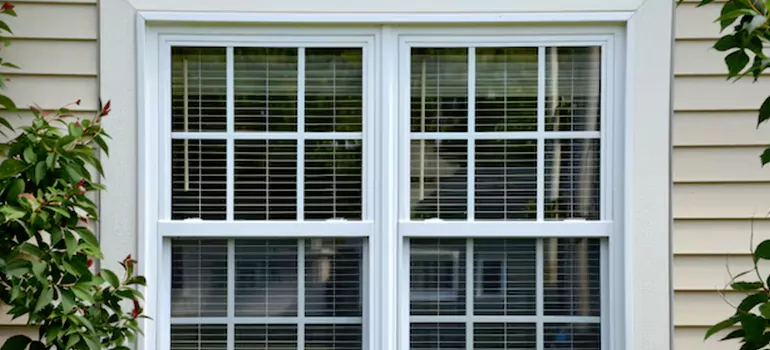 Custom Double Hung Windows in Palm River-Clair Mel, FL