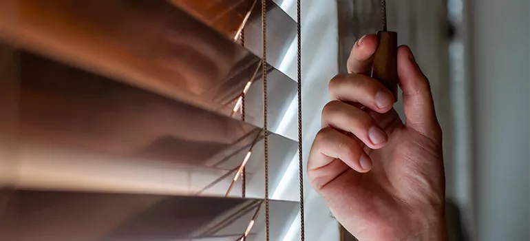 Double Roller Blinds in Palm River-Clair Mel, FL