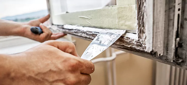 Exterior Window Frame Repair in Palm River-Clair Mel, FL