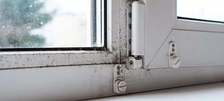 Palm River-Clair Mel, FL