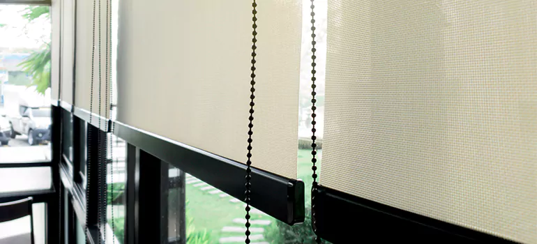 Blackout Window Shades in Palm River-Clair Mel, FL