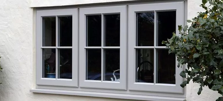 Stormproof Windows With Tinted Glass Services in Palm River-Clair Mel, FL