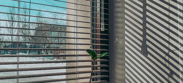 Commercial Window Blinds in Palm River-Clair Mel, FL