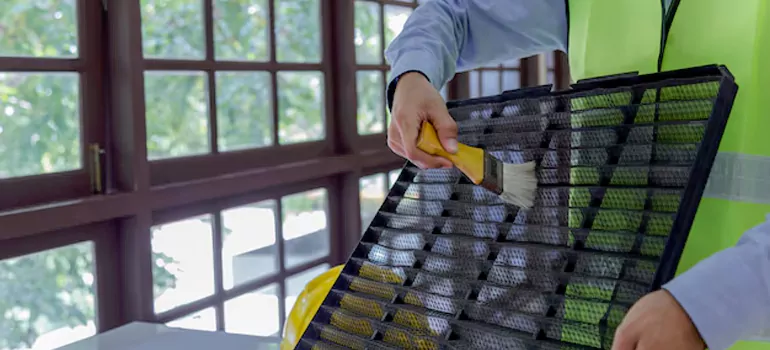 Traditional Window Grille Installation Options in Palm River-Clair Mel, FL