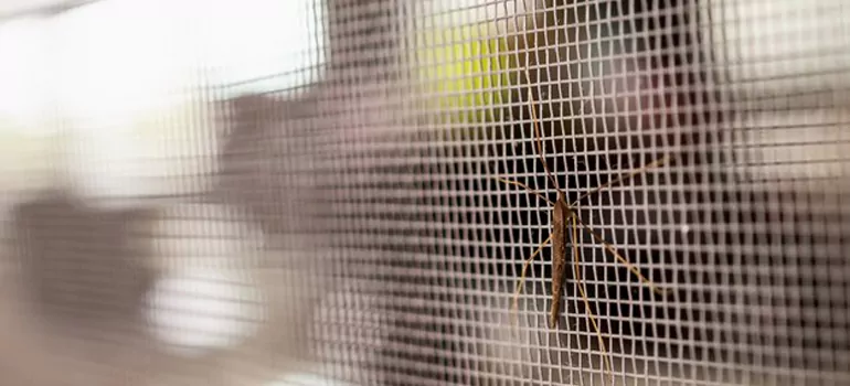 Repair Mosquito Mesh For Windows in Palm River-Clair Mel, FL