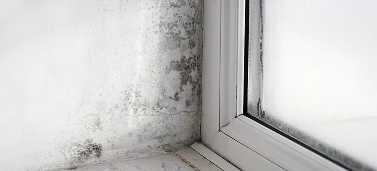 Palm River-Clair Mel, FL