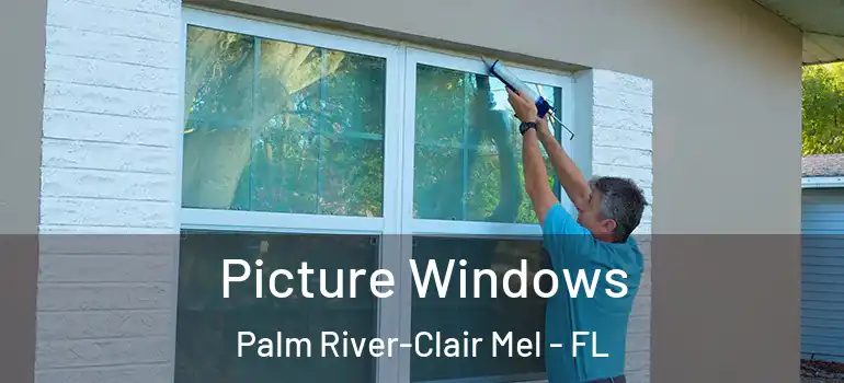 Picture Windows Palm River-Clair Mel - FL