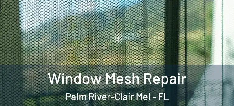 Window Mesh Repair Palm River-Clair Mel - FL