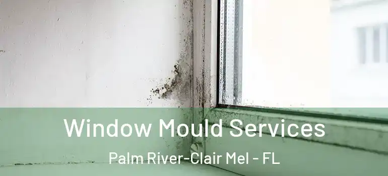 Window Mould Services Palm River-Clair Mel - FL
