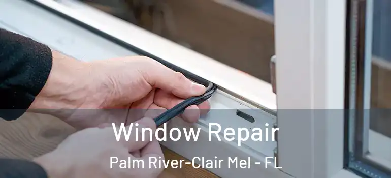 Window Repair Palm River-Clair Mel - FL