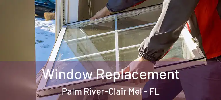 Window Replacement Palm River-Clair Mel - FL