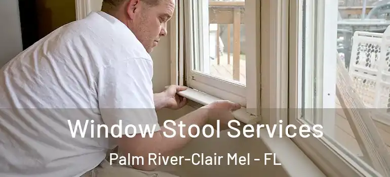 Window Stool Services Palm River-Clair Mel - FL